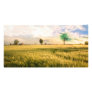 Midwest Field Painting Customized Photo Card