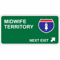 Midwife Next Exit photo sculptures by whatitis Midwife Next Exit photo sculptures