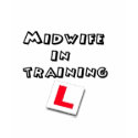 midwife training shirt