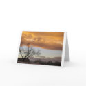 Midwinter V (notecard) by SpaceHappy Midwinter V (notecard)