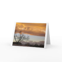 Midwinter V (notecard) by SpaceHappy Midwinter V (notecard)