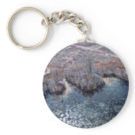 Miele Dump Leaching keychains