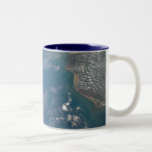 Miembro de la tierra de la NASA tomado por el tran Taza De Café