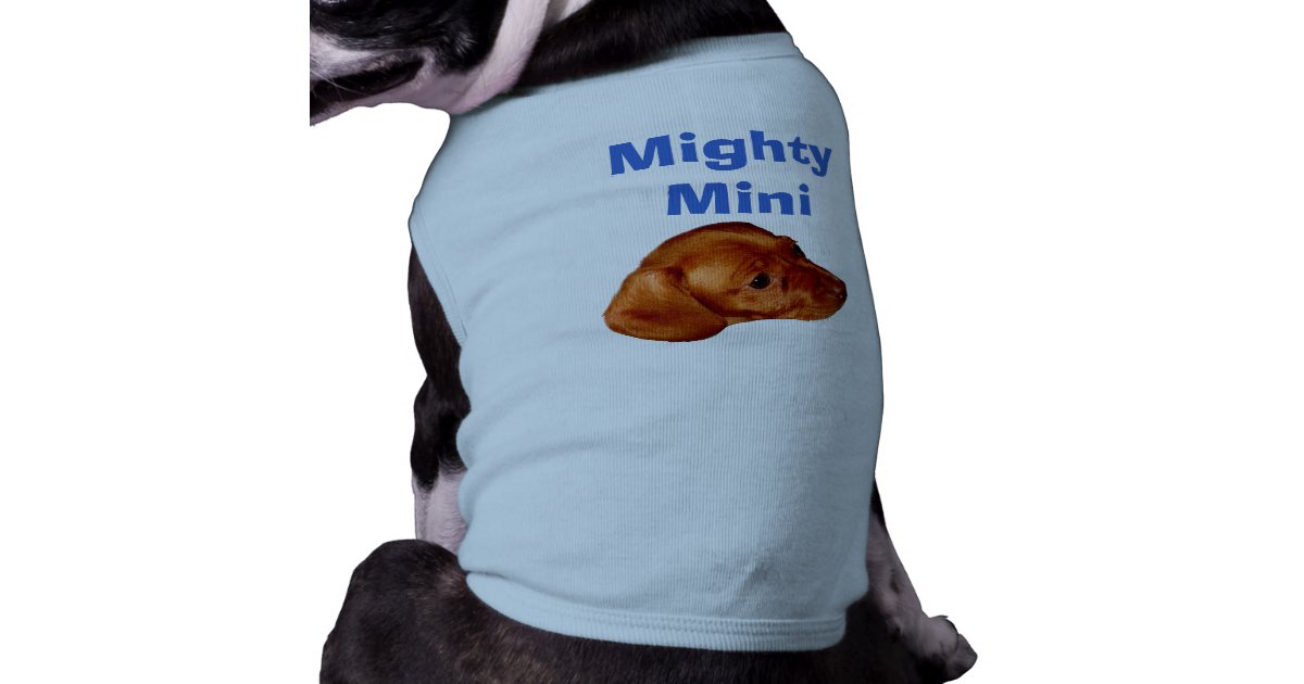shirts for dachshunds