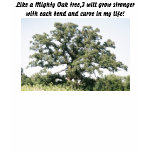 Mighty Oak Tree T Shirt