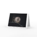 MightyMac_05, Mackinaw Bridge 50th Anniversary,... cards by rosebudstudios MightyMac_05, Mackinaw Bridge 50th Anniversary,... cards