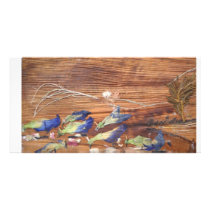 Migrated  Birds Picture Card