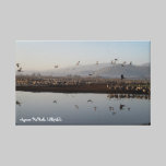 Migrating Cranes canvas prints