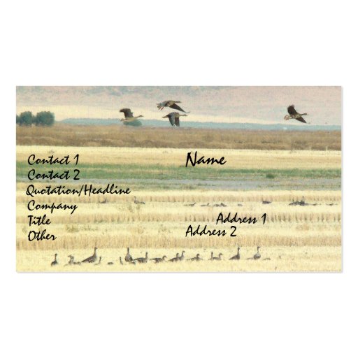 Migrating Geese Business Card