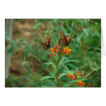 Migrating Monarchs Greeting Card
