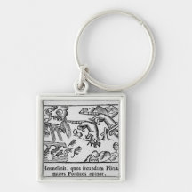 Migration of lemmings keychain