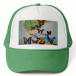 Migrational Locales, JLH Hat