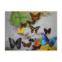 Migrational Locales, JLH Postcards