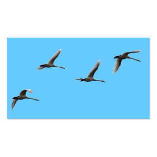 migratory birds business card template
