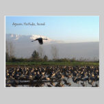 Migratory Birds in Israel Postcard postcards