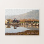 Migratory Birds Puzzle puzzles