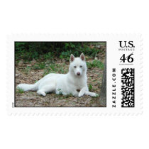 Mika's Stamp 2