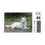 Mika's Stamp 2