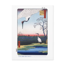 Mikawa Island Postcard