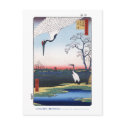 Mikawa Island Postcard