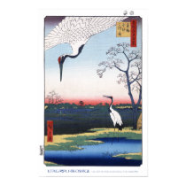Mikawa Island Posters & Prints