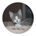 Mikie magnets by myrtieshuman Mikie magnets