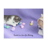 Mikie's Easter Eggs Postcard