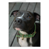 Mildred Greeting Cards