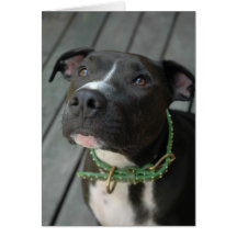 Mildred Greeting Cards
