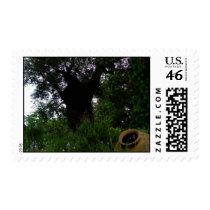 Milenar Olive Trees Postage postage