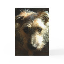 Miles cards by louwhoz Miles cards