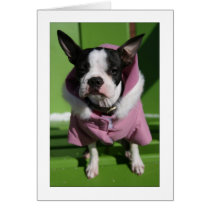 Miley in the cold cards by aukevinsgirl Miley in the cold cards