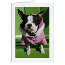 Miley in the cold greeting card