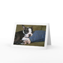 Miley is annoyed cards by aukevinsgirl Miley is annoyed cards