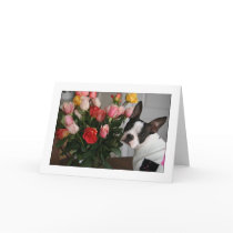 Miley with Roses cards by aukevinsgirl Miley with Roses cards