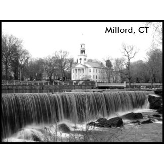 Milford CT Duckpond Postage Stamp stamp