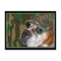 Military Boxer dog postcard