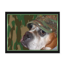 Military Boxer dog postcard