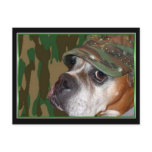 Military Boxer dog postcard