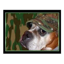 Military Boxer dog postcard