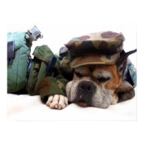 Military boxer dog poster posters by ritmoboxer Military boxer dog poster posters