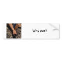military gay, why not? bumper stickers by monie227 military gay, why not? bumper stickers