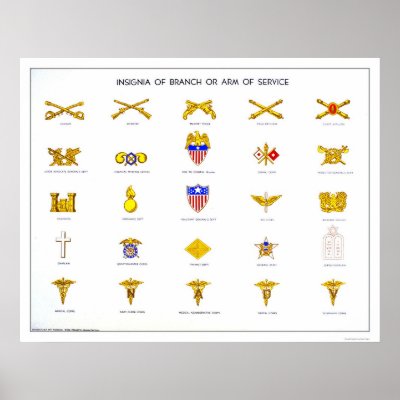 military insignia image