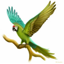 Military Macaw Holiday Ornament photo sculptures