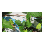 Milk Carton Photo Card