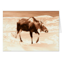 Milk Chocolate Moose Card
