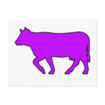 Milk Cow Silhouette Beef Cattle Moo Bull Steer Postcard