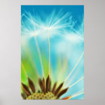 Milk Rays Print