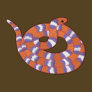 Milk Snake