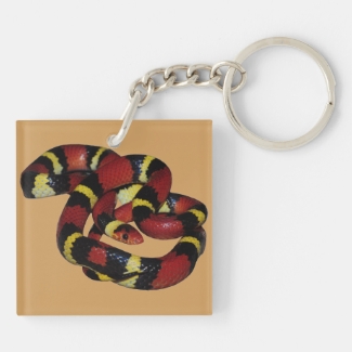 Milk snake